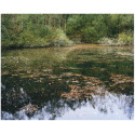 Tirage photo 42 x 33,5 cm 