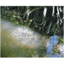 Tirage photo 42 x 33,5 cm 